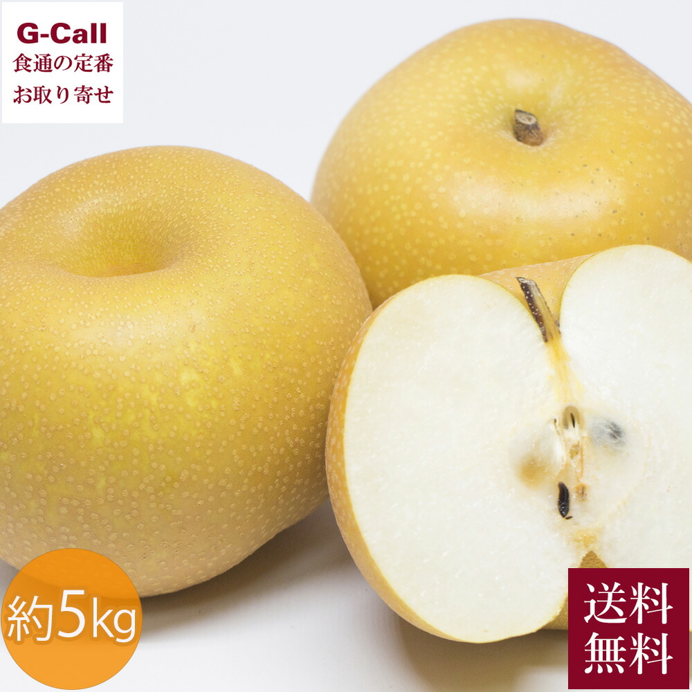 鳥取オリジナルブランド梨 新甘泉 しんかんせん 秀品 約5kg 8～18玉 8月末～9月20日頃 指定日不可 送料無料 果物 和梨 なし ナシ 梨 フルーツ 高糖度 お取り寄せ