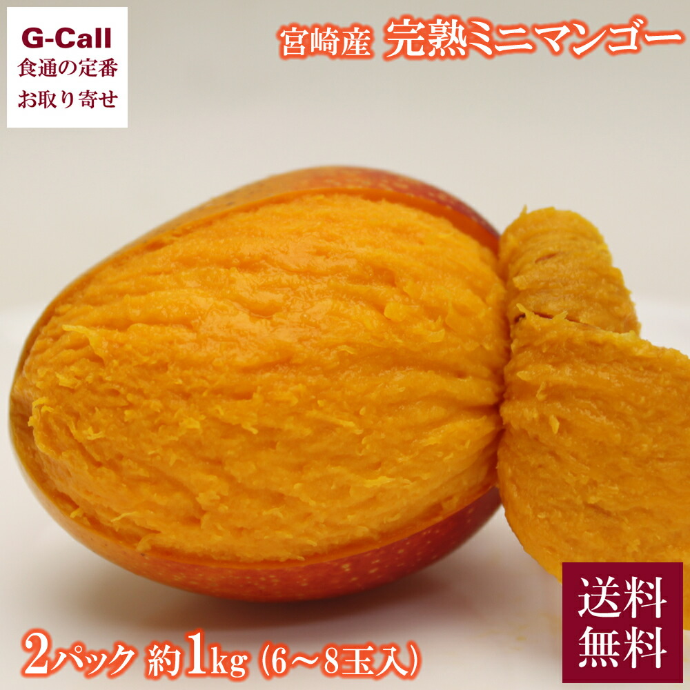 宮崎産 完熟ミニマンゴー 2パック 計約1kg 6～8玉入 3月下旬から6月中旬出荷 送料無料 ベルフーズ フルーツ 果物 マンゴー 南国 くだもの 完熟 人気 お取り寄せ