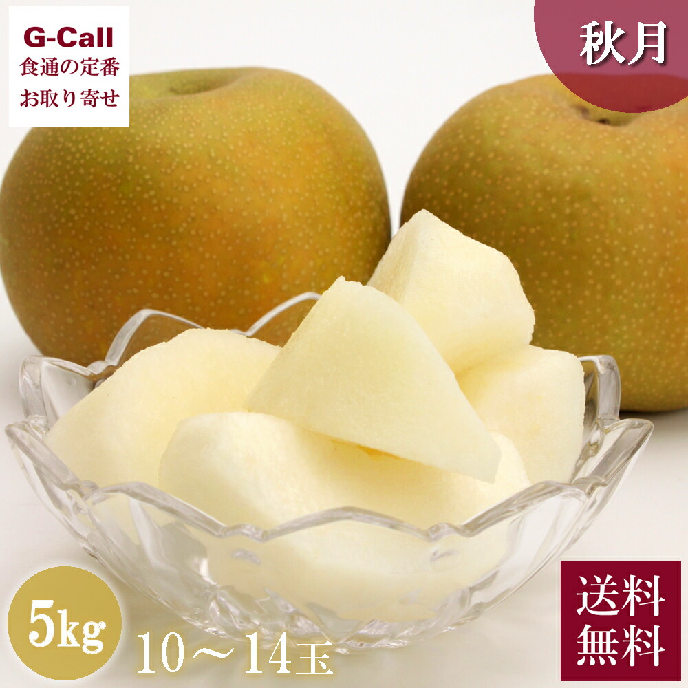 千葉県産 白井の梨 秋月 約5kg 10～14玉 9月上旬から9月中旬出荷 送料無料 産地直送 和梨 ナシ フルーツ くだもの 果物 新鮮 あきづき 高糖度 ジューシー
