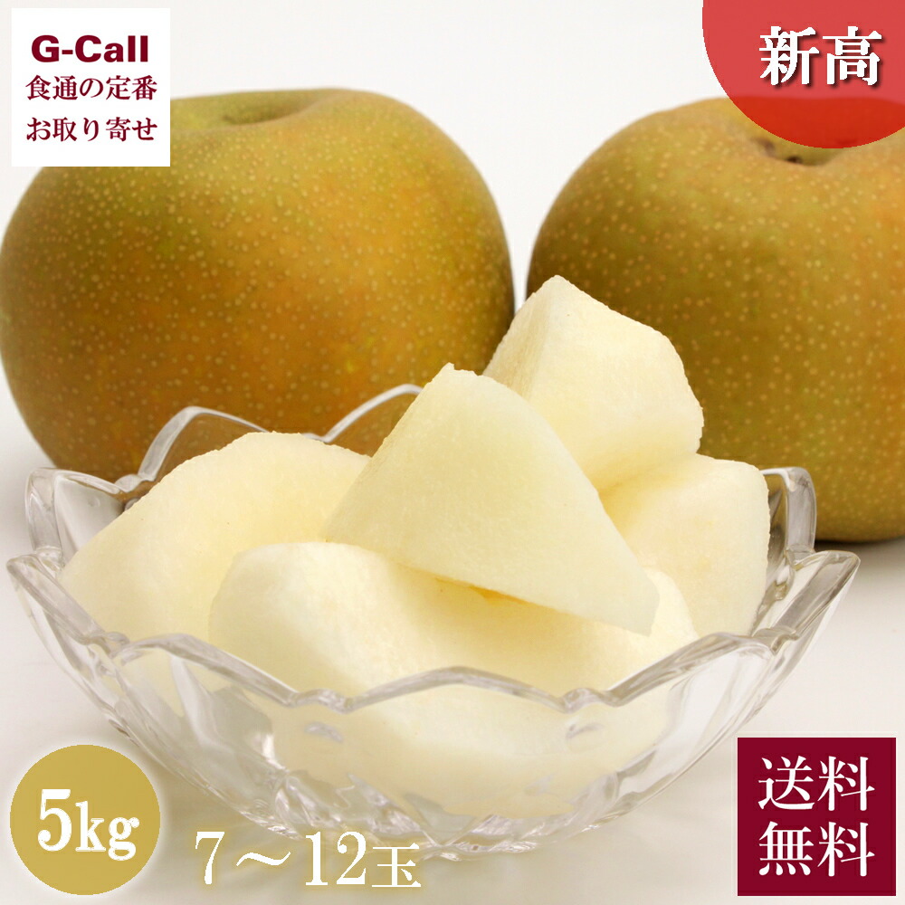 千葉県産 白井の梨 新高 約5kg 7～12玉 9月上旬から9月中旬出荷 送料無料 秀品 産地直送 果物 フルーツ 和梨 なし ナシ 人気 ジューシー 旬 千葉県 お取り寄せ