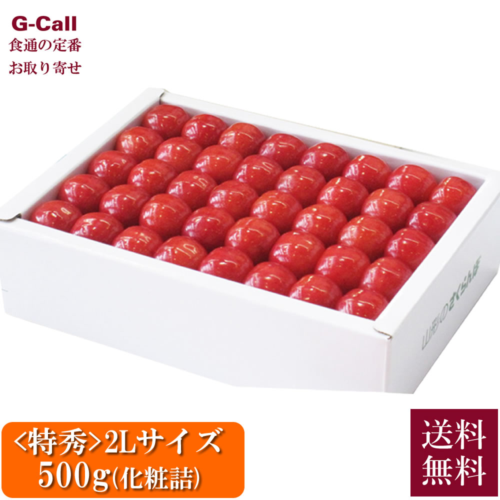 山形おきたま産 ハウス栽培 紅秀峰 最高格付「特秀」 2Lサイズ 500g 2段 化粧詰  6月上旬～6月中旬発送 送料無料 さくらんぼ サクランボ 果物 フルーツ ギフト