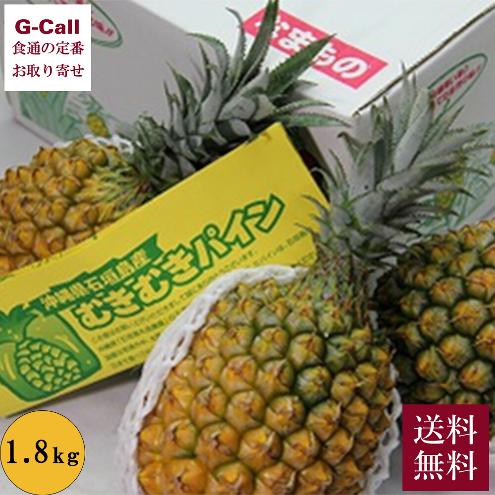 沖縄 石垣島産 王滝さんのスナックパイン 約1.8kg 2～3本入 4月上旬～6月中旬出荷 送料無料 パイナップル ボゴール パイン 石垣島 くだもの フルーツ 果物