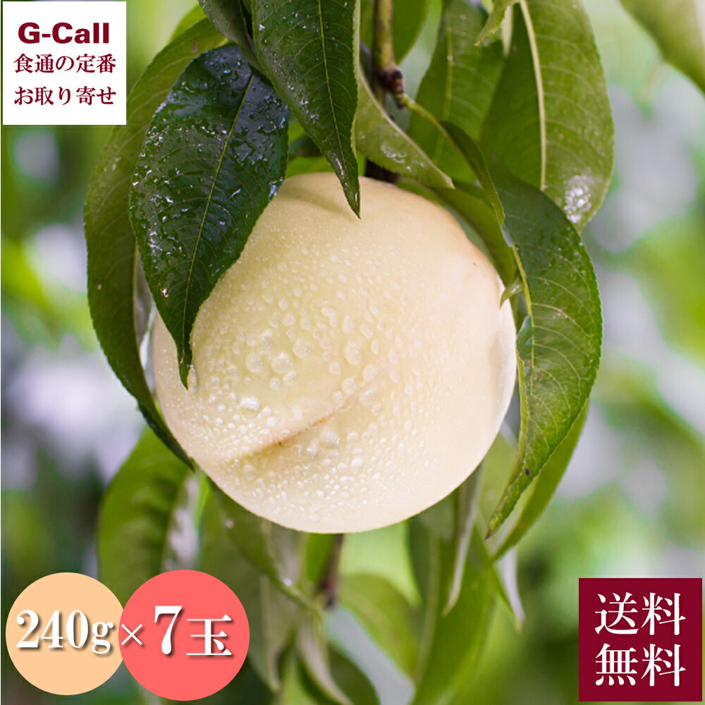 岡山県産 清水白桃 7玉 うまいな岡山 岡山県青果物販売 7月下旬～8月上旬出荷 指定日不可 北海道・沖縄送料別 フルーツ もも 果物 旬 産地直送 お取り寄せ｜G-Call 食通の定番 お取り寄せ