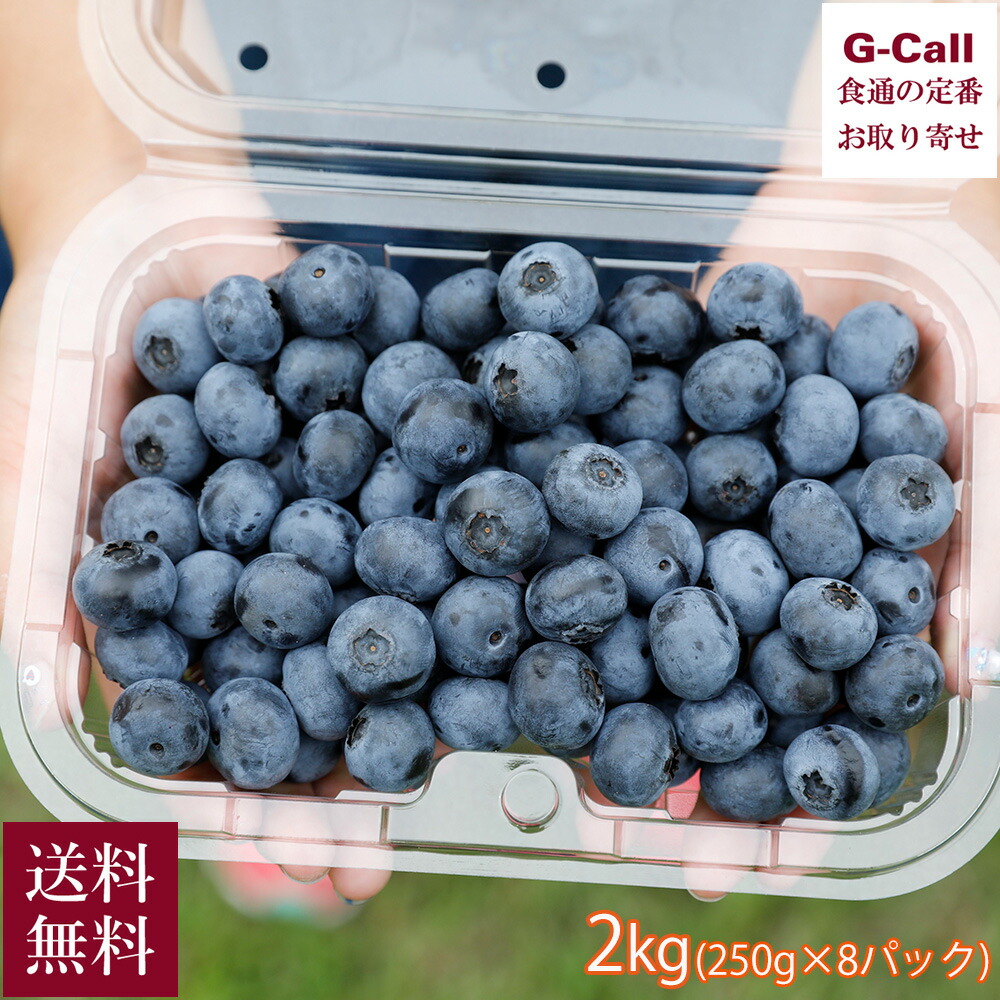 大粒 大山の恵み摘みたてブルーベリー 2kg (250g×8パック) 小林観光ブルーベリー園 7月上旬～8月下旬出荷 送料無料 冷蔵 小分け 産地直送 鳥取県 お取り寄せ
