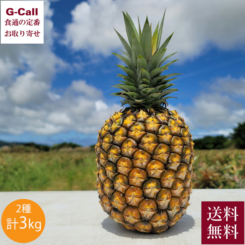 石垣島産 ゴールドバレルとサンドルチェパインセット 計3kg 2～3本入 6月中旬～7月中旬出荷 送料無料 パイナップル パイン 石垣島 くだもの フルーツ 果物