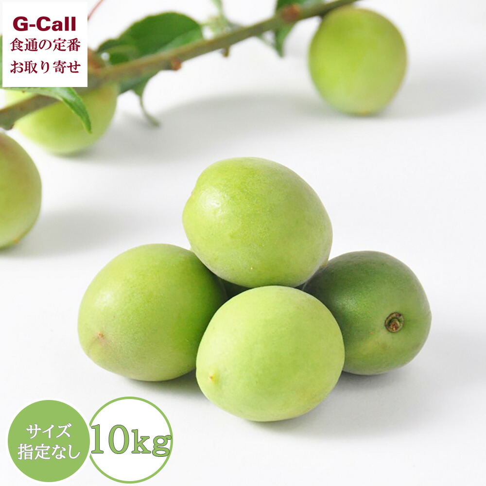 堀内果実園 特別栽培 青梅 品種混合 サイズ指定なし 10kg 6月中旬から6月下旬出荷 北海道・沖縄送料別 ウメ 梅シロップ 梅酒 果実 ジュース 奈良県 生産者直送