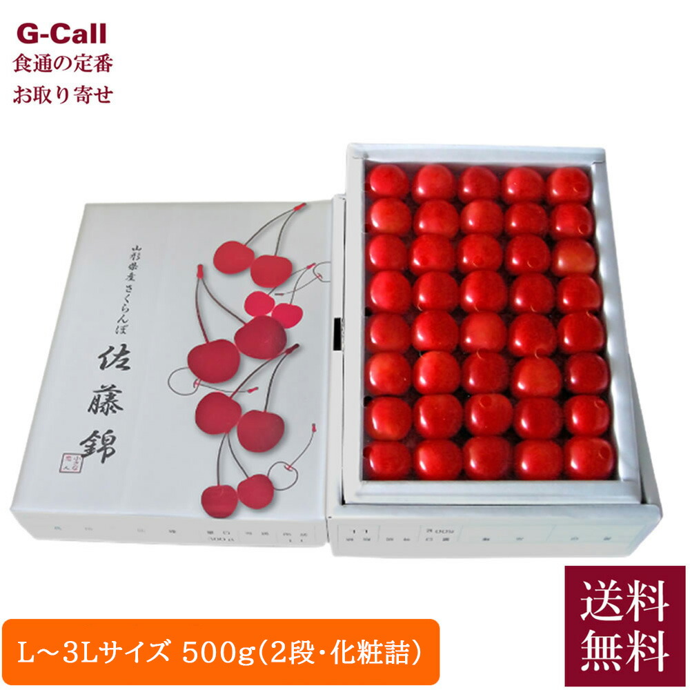 山形おきたま産 ハウス栽培 佐藤錦 最高格付「特秀」L～3Lサイズ 500g 2段 化粧詰 6月上旬～6月中旬出荷 送料無料 さくらんぼ サクランボ 果物 フルーツ 贈答