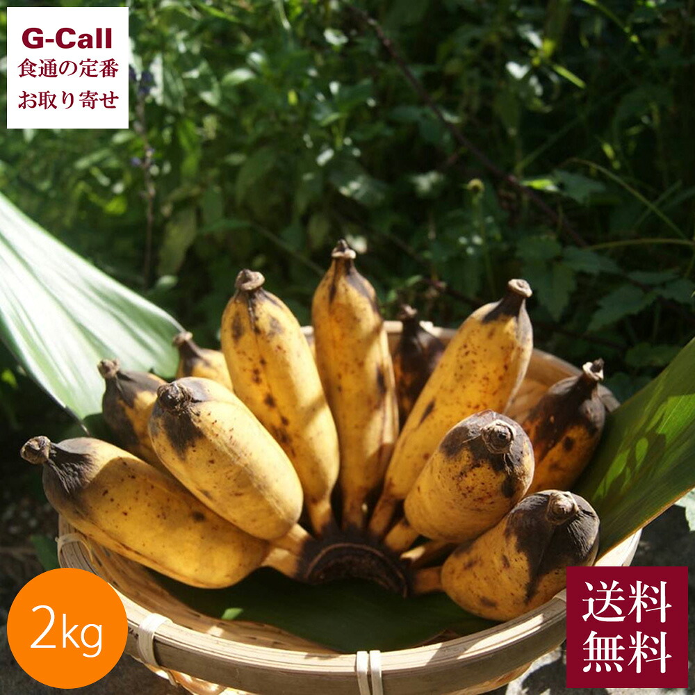 Inakakara Farm to Table 沖縄産 アップルバナナ 2kg 16～20本 6月中旬から11月上旬出荷 送料無料 国産 バナナ 沖縄 名護 アップル りんご 濃厚 産地直送