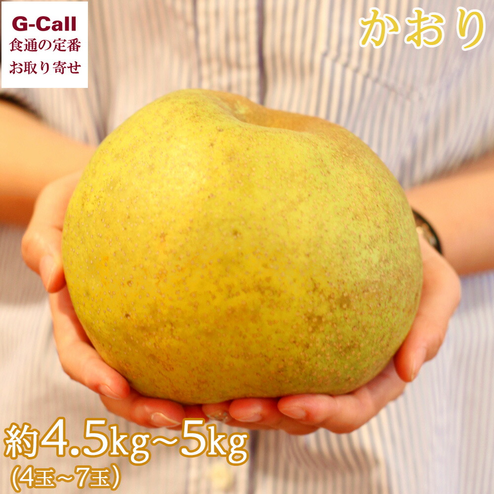 楽天市場】JA全農とっとり 鳥取産王秋梨 秀 7-8玉 約5kg 11月 楽天市場】JA全農とっとり 鳥取産王秋梨 秀 7-8玉 約5kg 11月