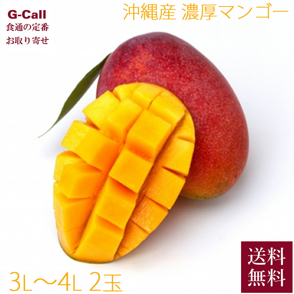 秀品 沖縄産 濃厚マンゴー 3～4Ｌ 2玉 7月上旬～8月上旬出荷 指定日不可 送料無料 マンゴー フルーツ アップルマンゴー 濃厚 沖縄 果物 ギフト お取り寄せ