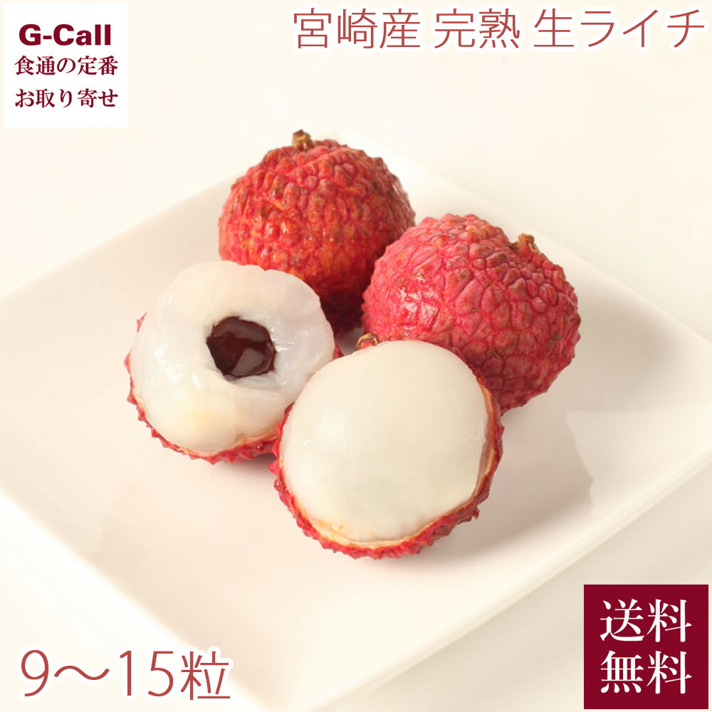 宮崎産 完熟 生ライチ 420g以上 9～15粒入 化粧箱 送料無料 6月中旬から7月下旬出荷 指定日不可 ライチ 果物 フルーツ お取り寄せ 宮崎県 国産 贈答 ギフト