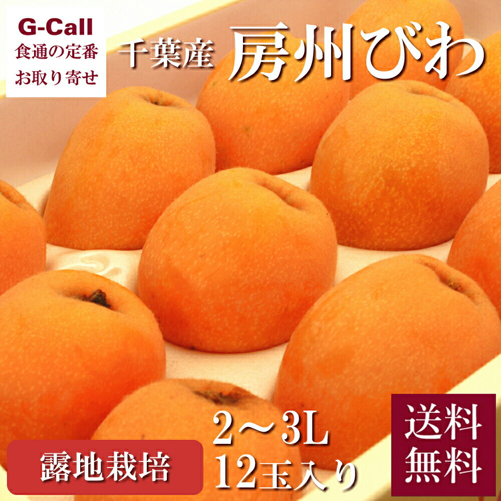 千葉産 房州びわ 露地物 2～3L 12玉 送料無料 ビワ びわ フルーツ くだもの 果物 ギフト 枇杷 贈答 大玉 旬の果物 みずみずしい ギフト お取り寄せ  産地直送