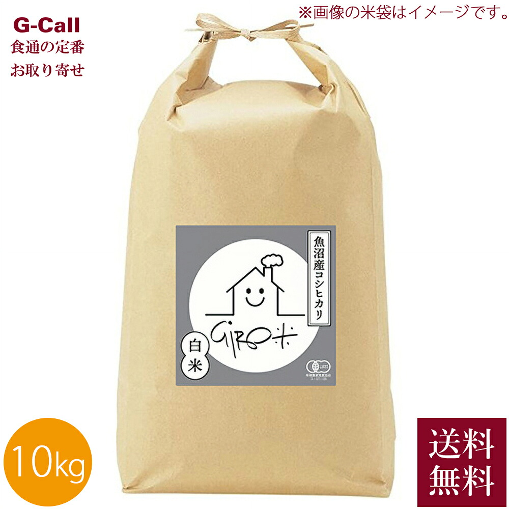 【中古】 今日から役立つ「おいしい献立バイブル」 「何食べたい？」「そうだ、これ作ろう！」/講談社 今日から役立つ「おいしい献立バイブル」 【公式通販】