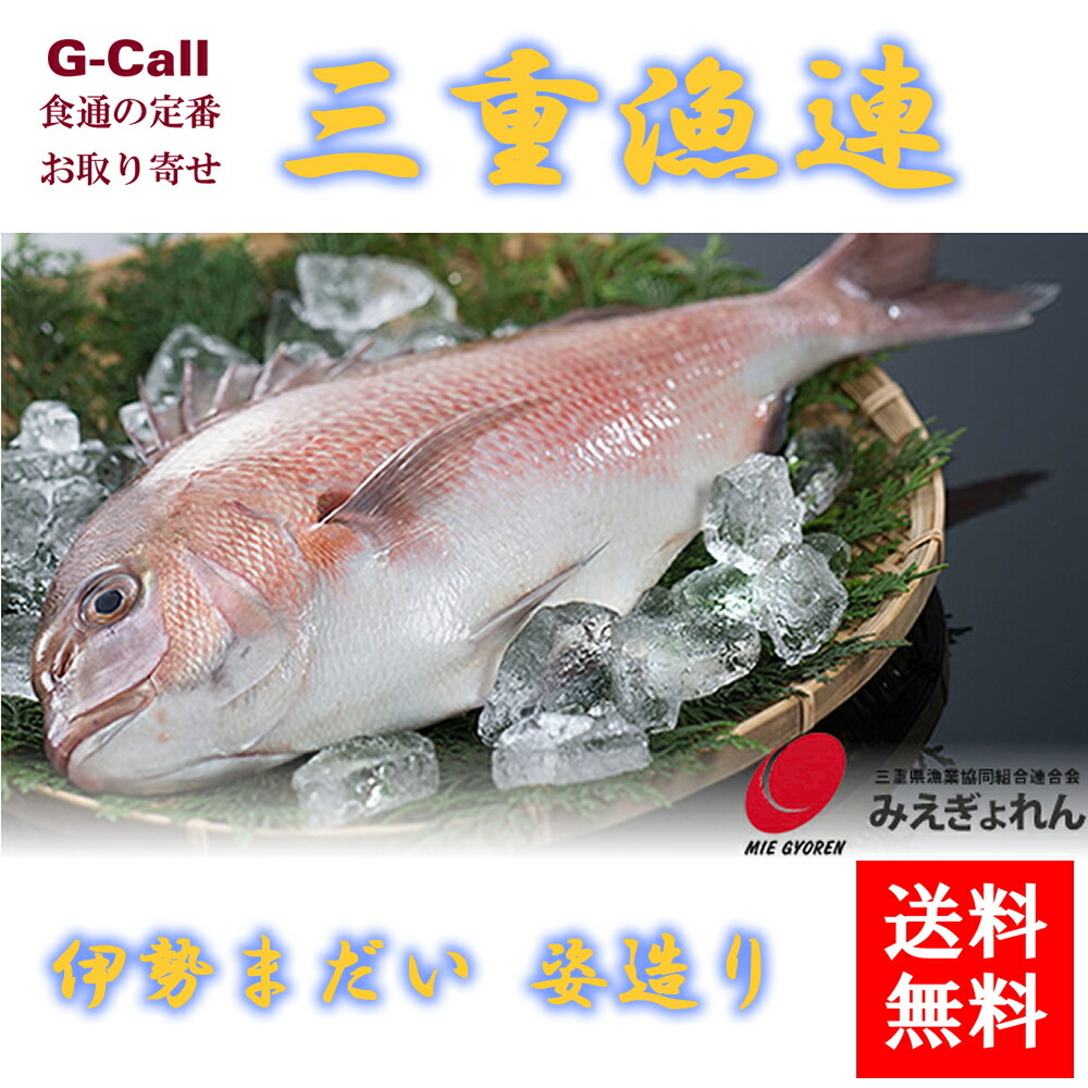 楽天市場】送料無料 三重漁連 伊勢まだい スキンレスフィレ 2枚(1尾分)入 500g前後 真鯛/鯛/お取り寄せ/タイ : G-Call 食通の定番  お取り寄せ
