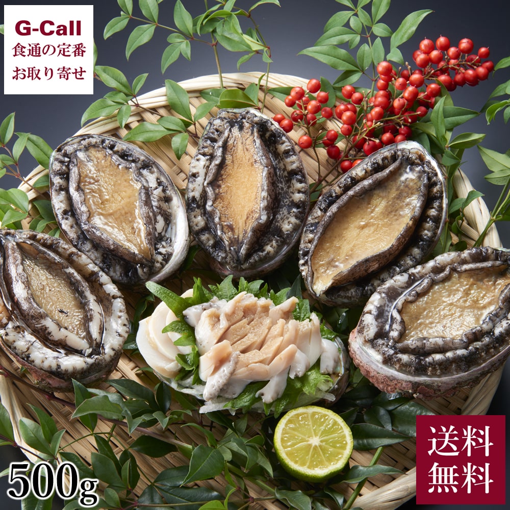市場 野村海産 500g 鮑剥きヘラ レシピ付 送料無料 アワビ 4 5個 三陸天然活鮑 軍手 冷蔵