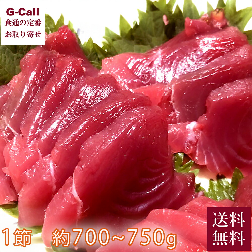 豊洲大野水産 房州産 初鰹 1節 約700～750g 5月下旬まで出荷 送料無料 冷蔵 カツオ かつお 鰹 春の味覚 刺身 たたき 和がらし 新鮮 魚介 シーフード お取り寄せ