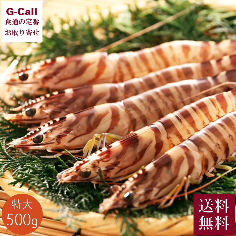 熊本大同青果 ユーグレナ竹富エビ養殖 活〆冷凍クルマエビ 特大 500g 10～15尾 送料無料 えび 海老 車エビ エビ 海鮮 お取り寄せ 竹富島 冷凍 新鮮 お取り寄せ