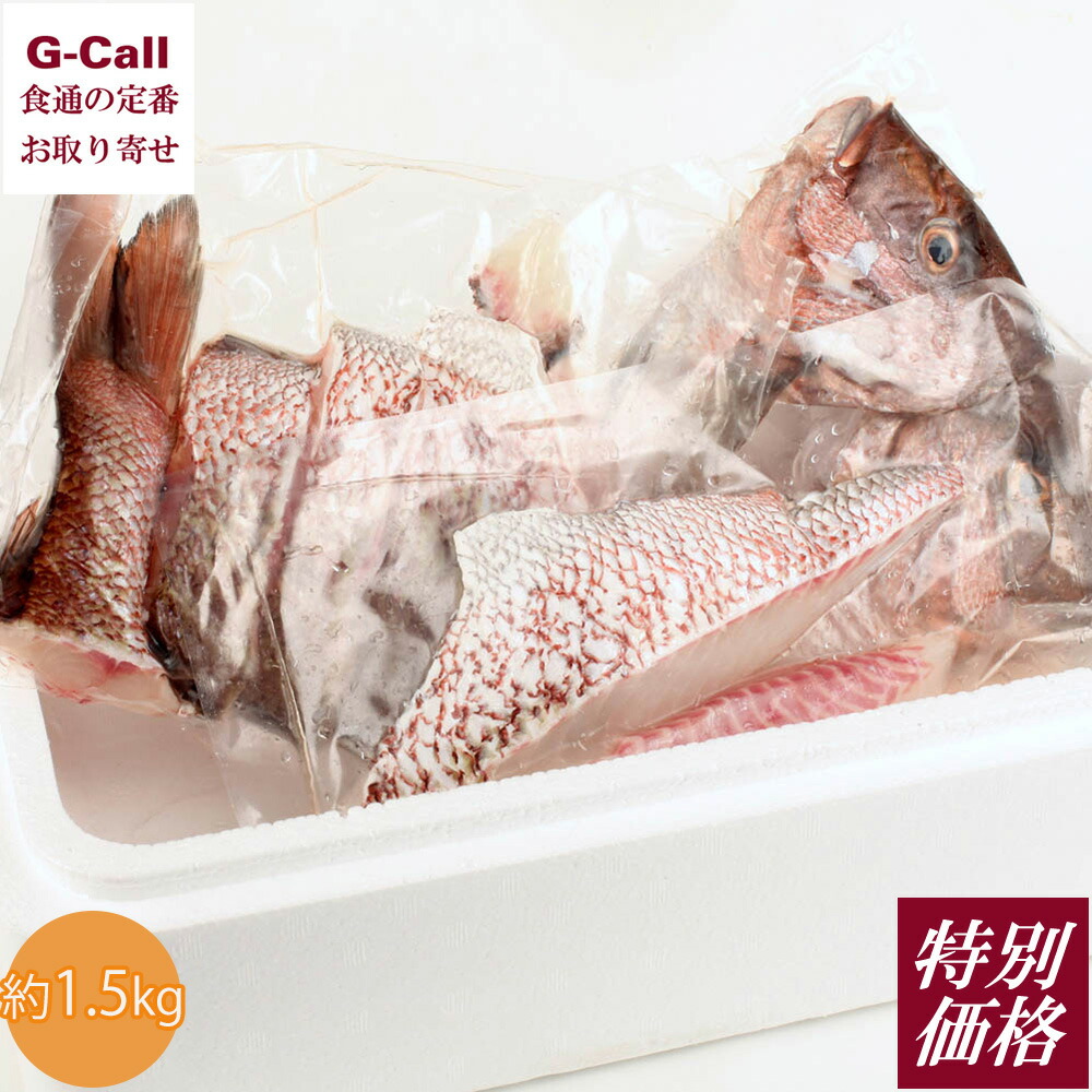 16％OFF テレビで紹介 マリンジャパン 生姜真鯛 贅沢加工 原魚約1.5kg 送料無料 マダイ 真鯛 メディアで話題 高知県 生姜真鯛真鯛 鯛 タイ たい 魚介 お魚 刺身