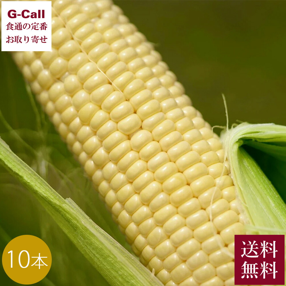 Inakakara Farm to Table 山梨県 甲府市特産 とうもろこし きみひめ 10本 6月上旬～8月上旬発送 送料無料 産地直送 トウモロコシ コーン 高糖度 高品質 野菜