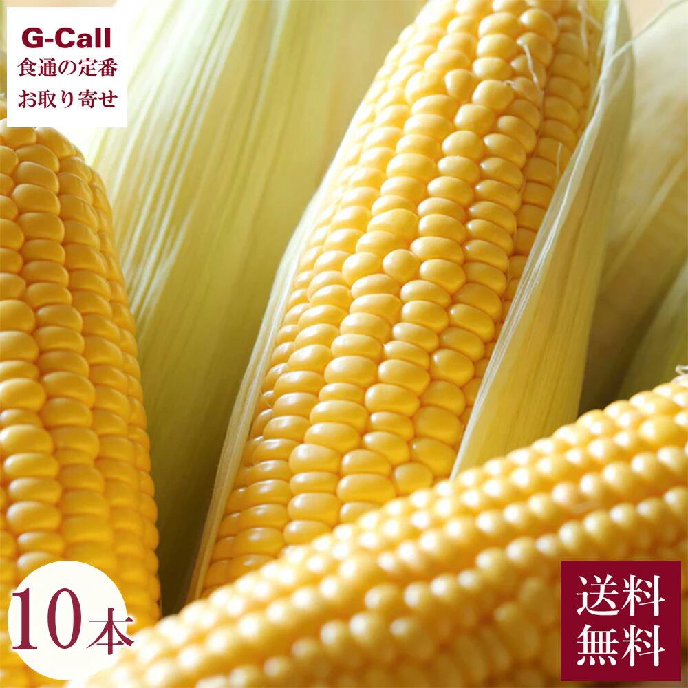 Inakakara Farm to Table 山梨県 とうもろこし おおもの 10本 6月～8月上旬出荷 送料無料 産地直送 トウモロコシ コーン 高糖度 高品質 甘い 野菜 とうきび