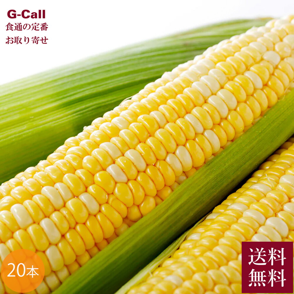とうもろこし ドルチェドリーム 20本 Inakakara Farm to Table 山梨県 6月～8月中旬出荷 送料無料 産地直送 トウモロコシ コーン 高糖度 高風味 野菜 とうきび