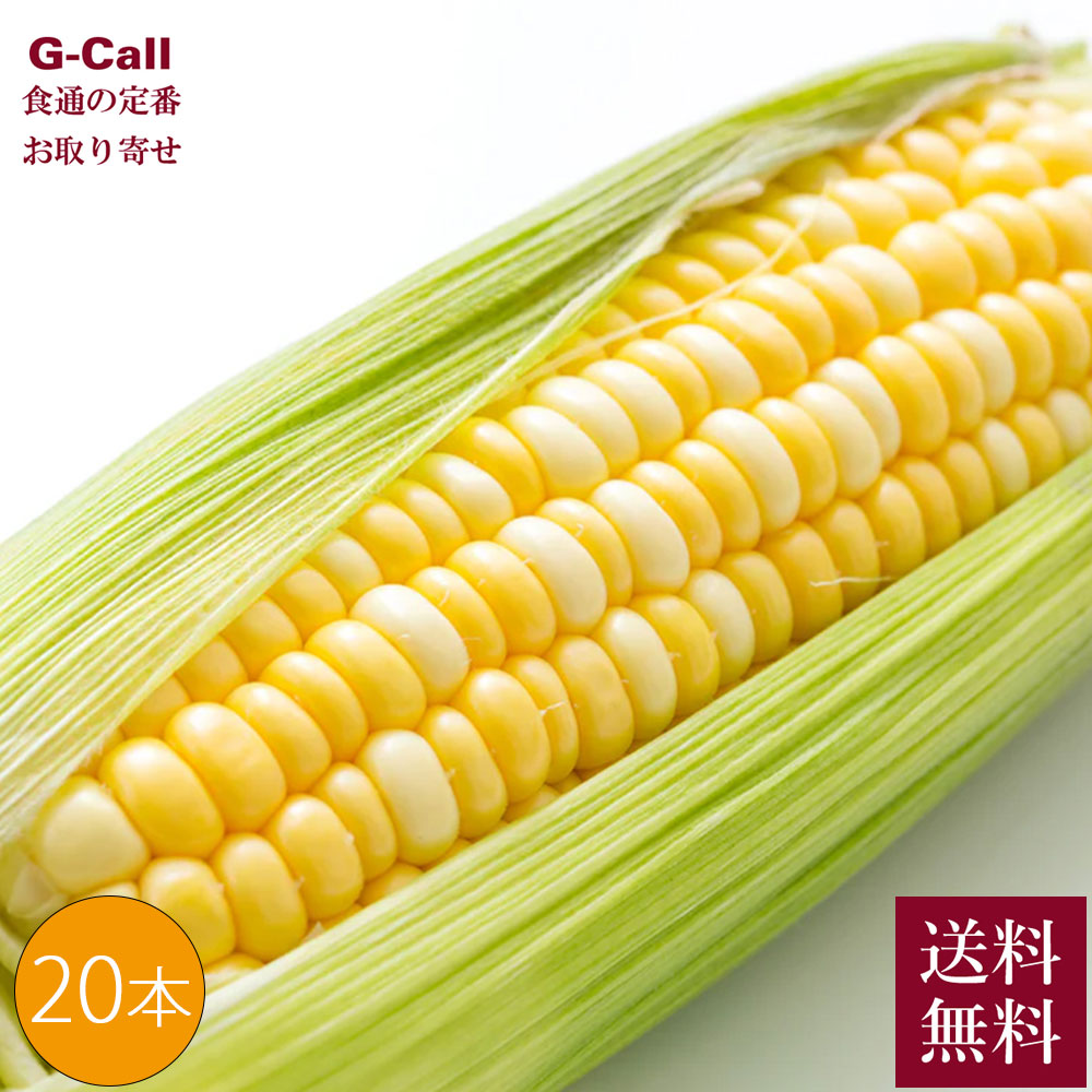 Inakakara Farm to Table 山梨県甲府市特産 とうもろこし ミルフィーユ 20本 6月～8月中旬発送 送料無料 産地直送 トウモロコシ コーン 高糖度 高品質 甘い 野菜