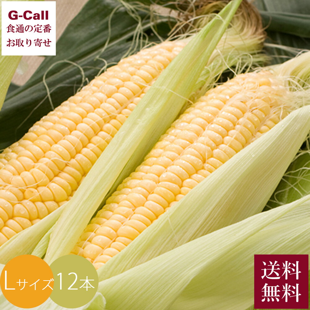 青森りんご キョーエイ 佐藤さんの嶽きみ Lサイズ 12本 8月中旬から9月上旬出荷 送料無料 お取り寄せ 高糖度 とうもろこし トウモロコシ コーン 青森 産地直送