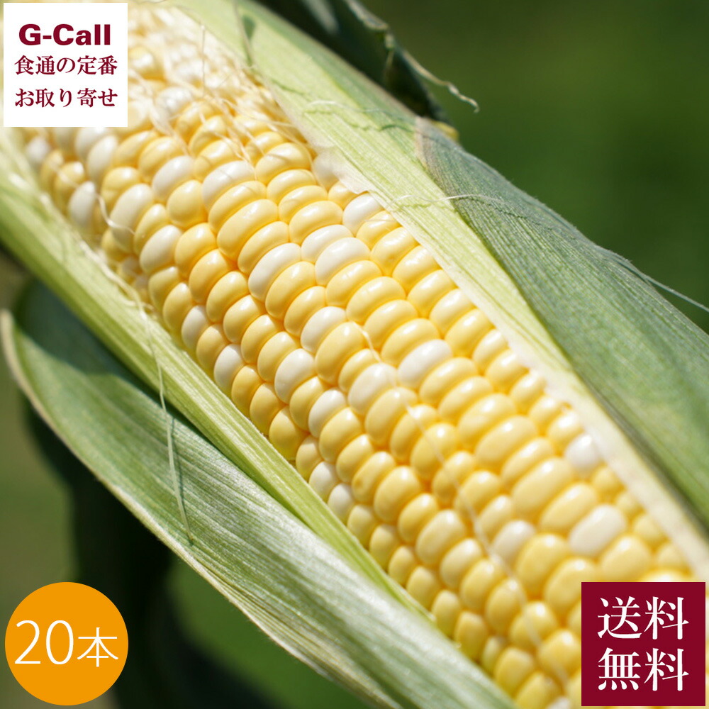 Inakakara Farm to Table 山梨県産 極甘とうもろこし 甘々娘 20本 6月中旬～7月下旬出荷 送料無料 かんかん娘 とうもろこし フルーツコーン メーカー直送