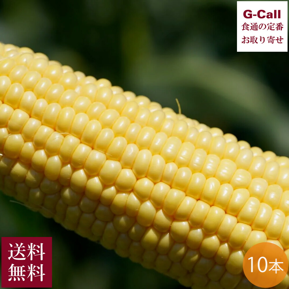 山梨県産とうもろこし 金蜜ゴールド 10本 6月上旬～8月上旬発送 Inakakara Farm to Table 送料無料 産地直送 トウモロコシ コーン 高糖度 高品質 甘い 野菜