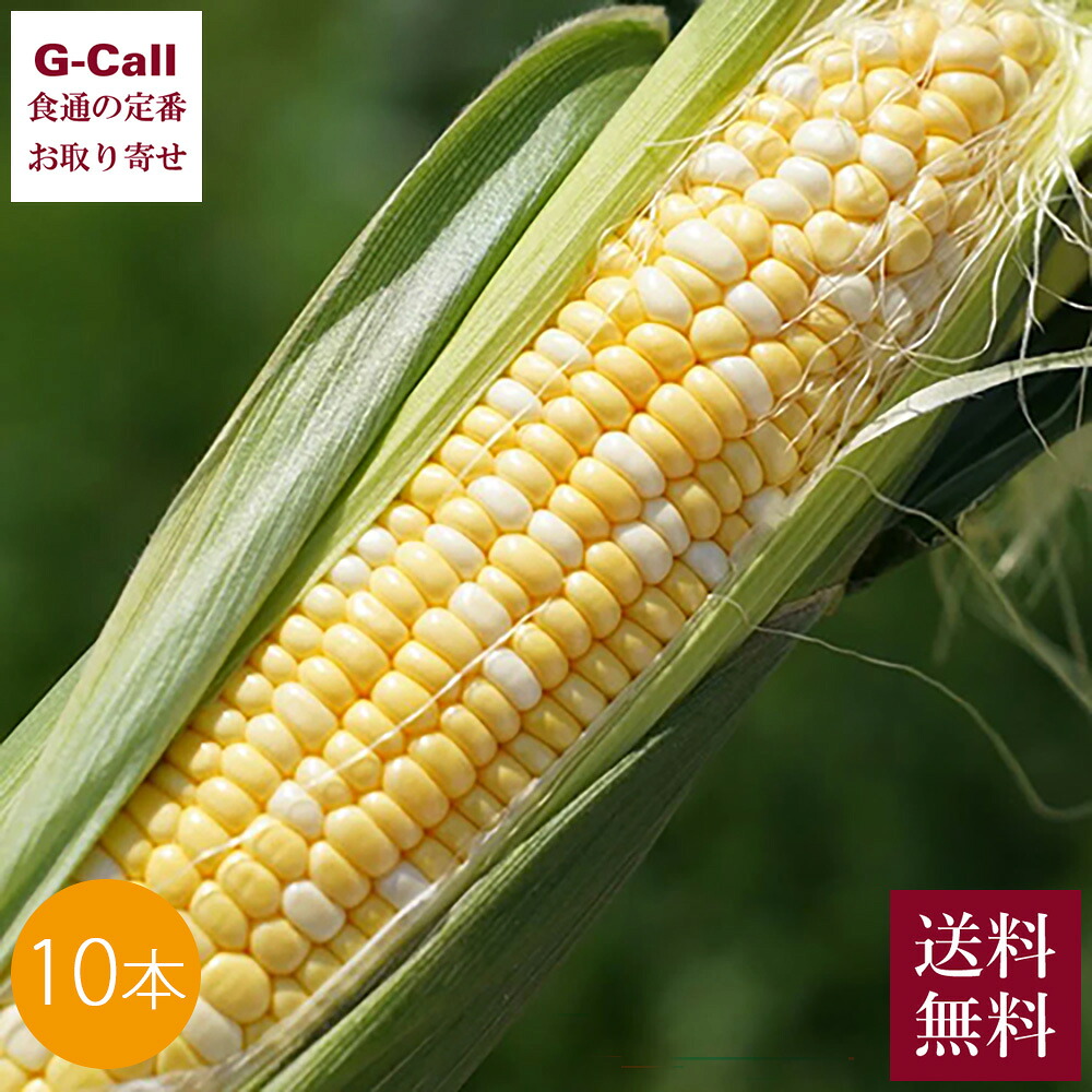 Inakakara Farm to Table 山梨県産 みつゆめドリーム 10本 5月下旬から6月下旬出荷 指定日不可 沖縄・離島お届け不可 送料無料 とうもろこし 産地直送 特選品