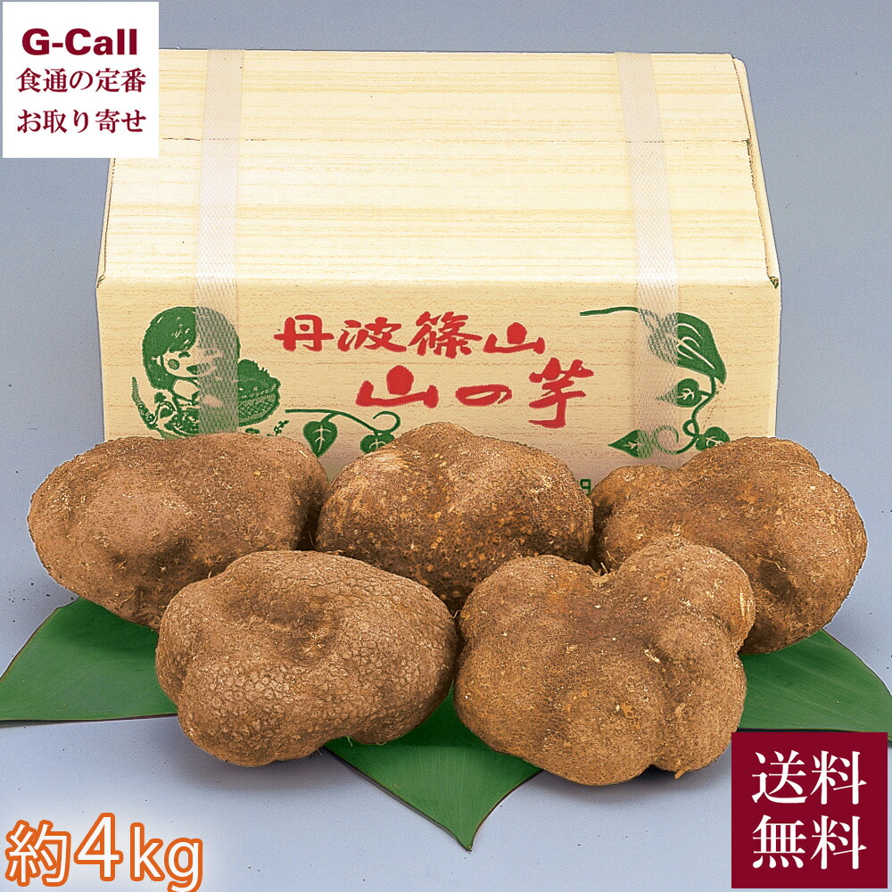 JA丹波ささやま 丹波篠山 山の芋 約4kg 優品 指定日不可 送料無料 やまのいも ヤマノイモ とろろ 野菜 イモ 粘り 丹波 篠山 山芋 食物繊維
