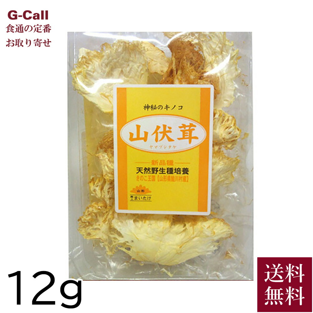 ⭕️値下げ済み✳️後3〜4で撤収致します。(山伏茸)ヤマブシタケ　８袋です。 国産山伏茸(粉末60g) | タマチャンショップ 公式オンライン