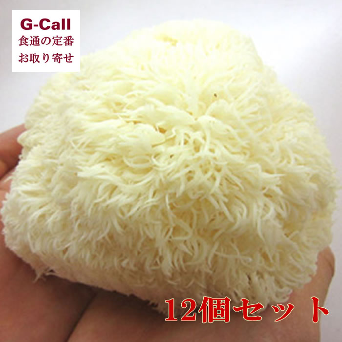 楽天市場】2026年分予約 長野産 採れたて天然 香茸 こうたけ 400g入