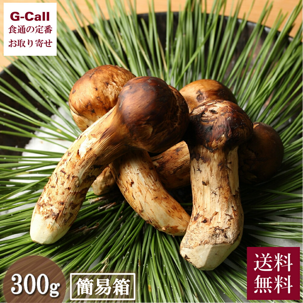 Gos①9月5日午前採取北海道天然バカマツタケバカ松茸 マツタケ 北海道 8月3日採れ 開きセット 約500g （北海道松茸