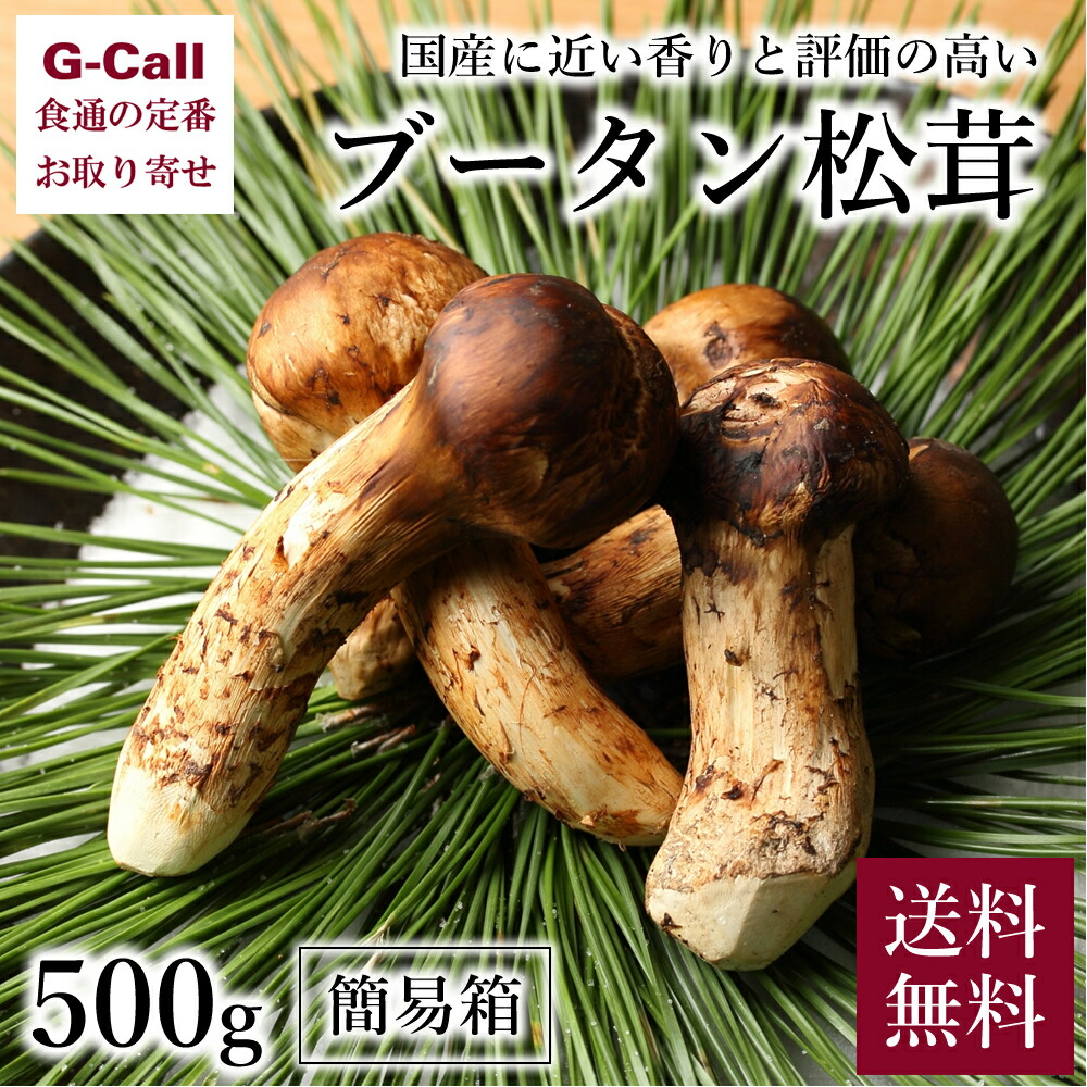 市場 ブータン松茸 まつたけ 約8〜12本 きのこ 野菜 簡易箱 500g 天然 送料無料