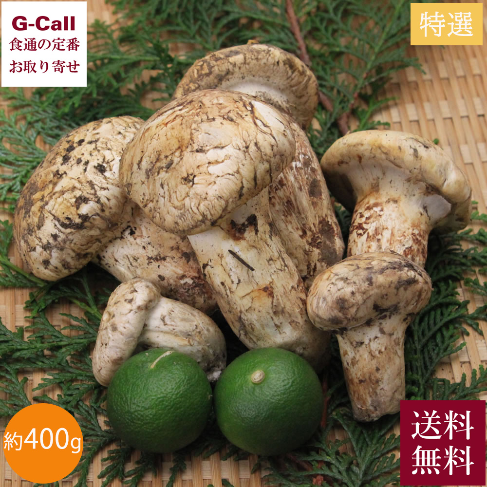 楽天市場】北米産 松茸 超特選 約250g 3〜7本 8月下旬〜2025年10