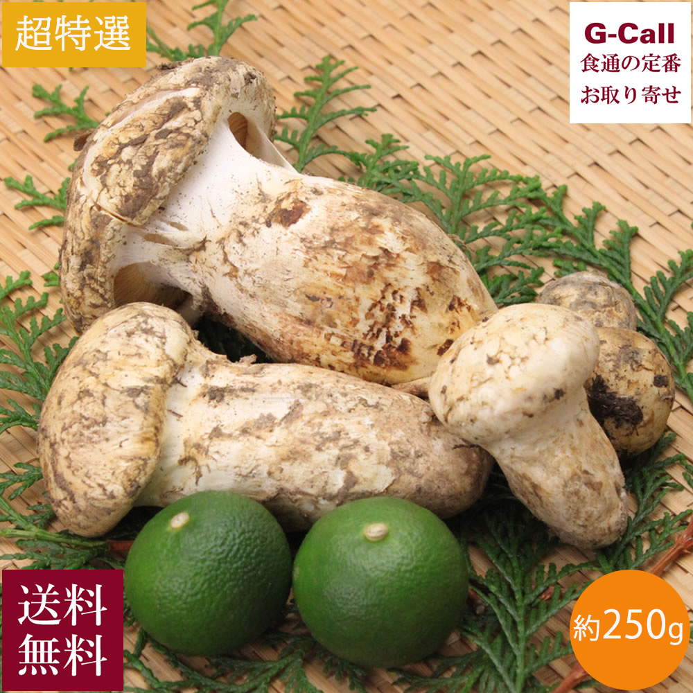 松茸　ラスト品400グラム 楽天市場】北米産 松茸 超特選 約400g 5〜10本 8月下旬〜2025年