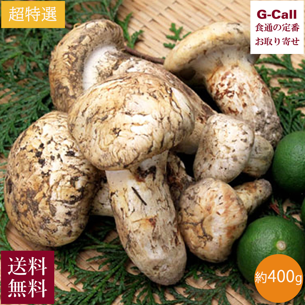楽天市場】北米産 松茸 超特選 約250g 3〜7本 8月下旬〜2025年10