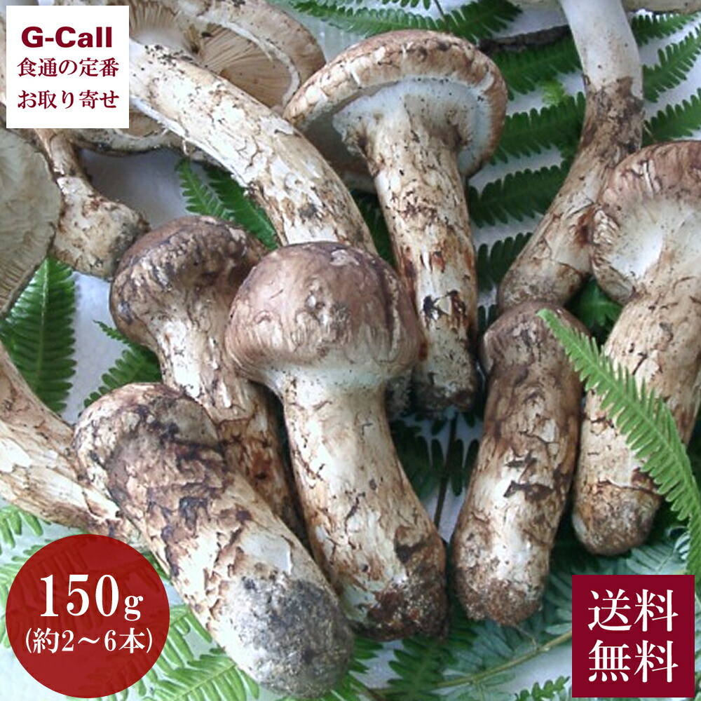 天助 国産 まつたけ 150g 約2~6本 9月中旬から10月下旬頃出荷 指定日不可 送料無料 松茸 マツタケ きのこ キノコ つぼみ松茸 スダチ 補償付き 炊き込みご飯