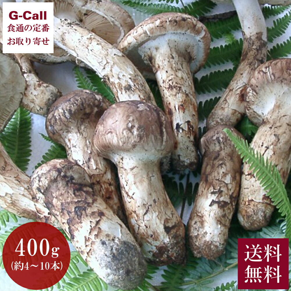 天助 国産 まつたけ 400g 約4～10本 9月中旬から10月中旬発送 送料無料 指定日不可 松茸 マツタケ きのこ キノコ つぼみ松茸 スダチ付 補償付 土瓶蒸し 炊き込み