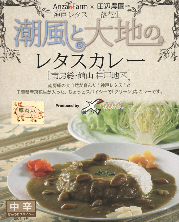 楽天市場 南房総 館山 神戸地区 潮風と大地のレタスカレー ちば豚肉入り 0g Rcp ご当地カレー レトルトカレー 千葉県 ギフト 景品 賞品 贈答 お祝い 内祝い お中元 イベント 結婚式 二次会 暑中見舞い 地カレー家 楽天市場店