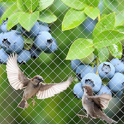 楽天市場】防鳥ネット 3m×8m ベランダ 鳥よけネット - 25mm目合