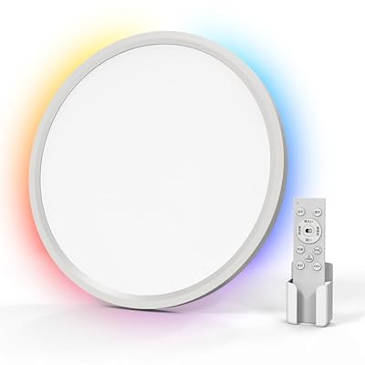 LED最高限度点火装置 6畳 24W 今めかしい 上昇限度点火装置物の具 3600LM 間接的な行動光RGB色合い \u0026 調光調色 極薄型