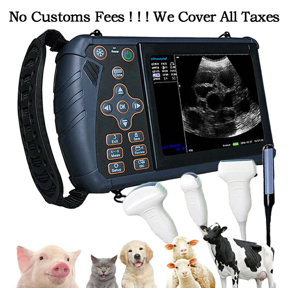 携帯型獣医用超音波スキャナ Vet B-Ultra 懐胎器械 ハンドヘルド (B、BB、4B、B+M、M) 豚