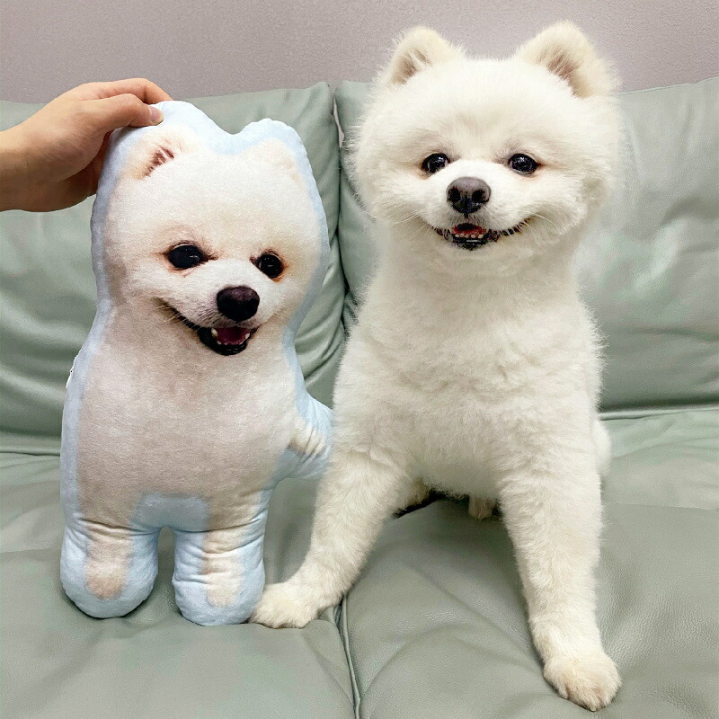 パーソナライズ活動写真DIY愛玩動物座布団ぬいぐるみ枕カスタム犬猫活動写真座布団母の日ギ
