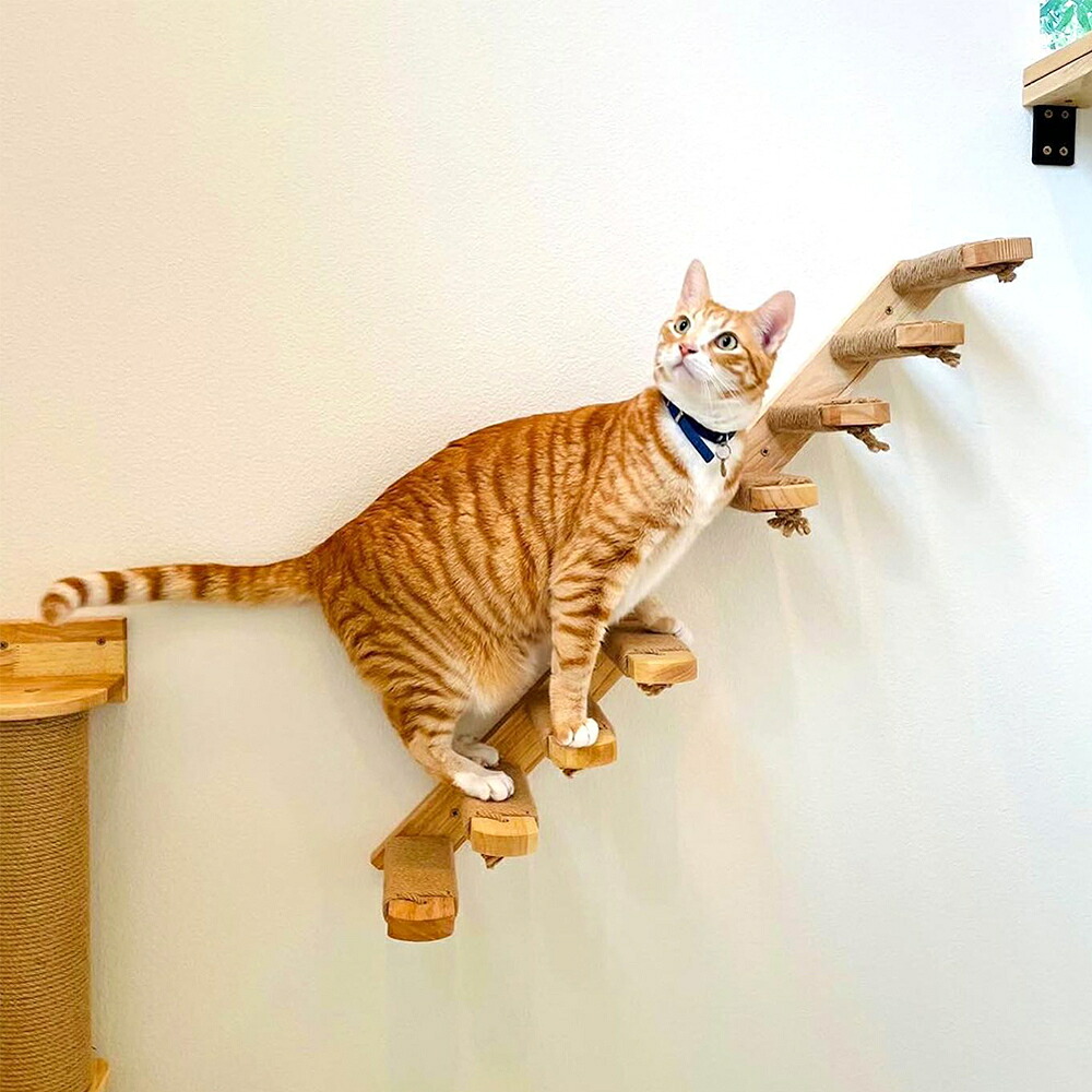 猫の階段を登る 壁に取り付けられたステップ 木とサイザル麻ロープ製 はしごを引っ掻く ペ｜グリーンフィールドジャパン