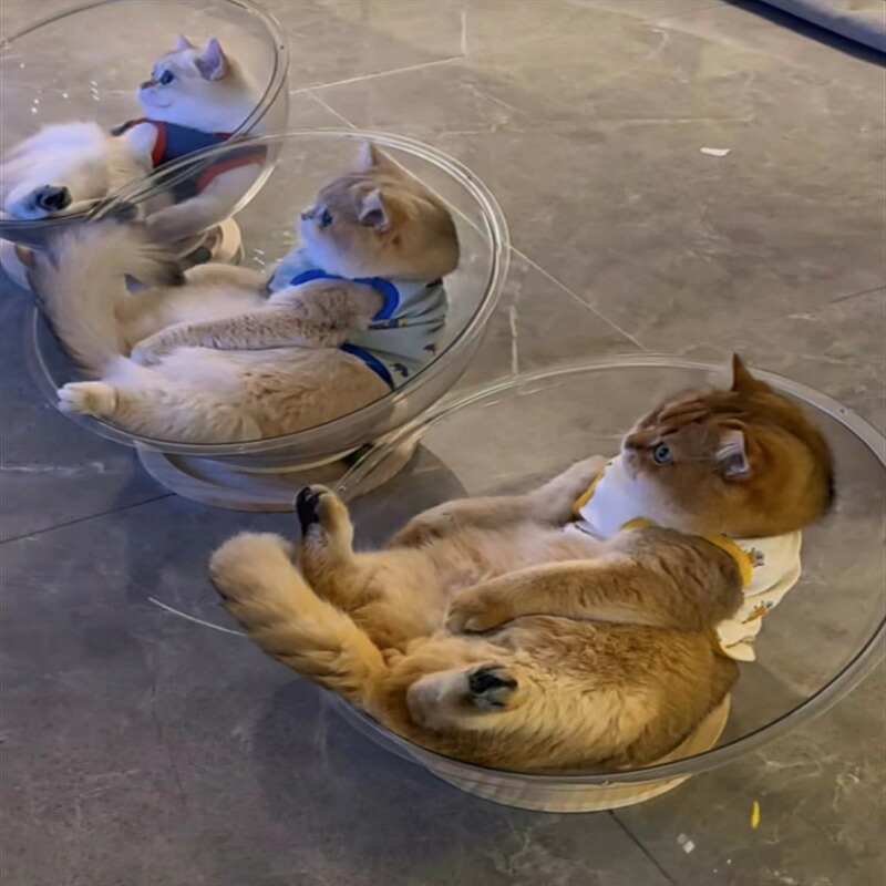 取りはずし能力のあるな猫の寝台,ユニバーサル宇宙カプセル,スリーピングネスト,澄み切ったな猫の家の河馬