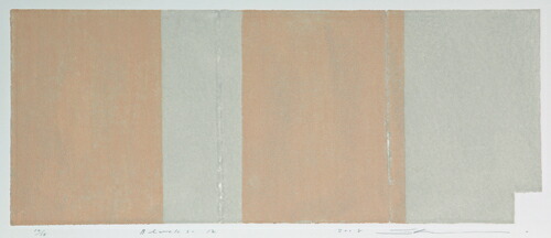 版画/ｸﾛｽｸﾞﾗﾌ 黒木周 Blocks-12 絵画　現代アート 抽象 送料無料 35,750円