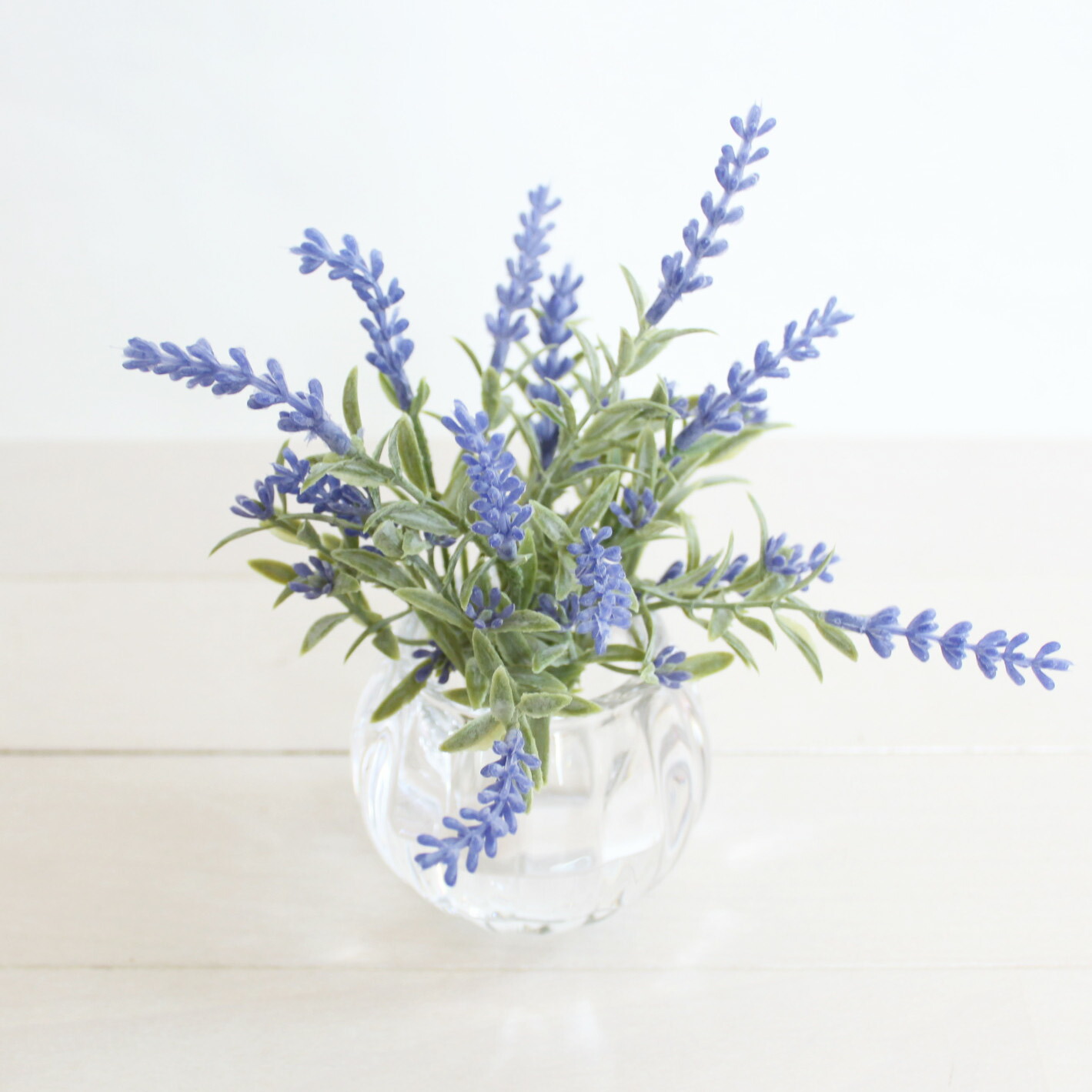 楽天市場 こぼれない水 マジカルウォーター 人工水 ラベンダー アレンジメント 胡蝶蘭専門店 グランドグルー