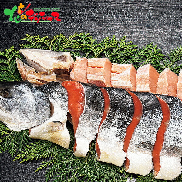 タカヒロ 塩紅鮭 塩時鮭半身姿切身セット21 お歳暮 御歳暮 お年賀 寒中見舞い ギフト 贈り物 贈答 お祝い お礼 お返し プレゼント 内祝 水産 魚 しゃけ シャケ 鮭 紅鮭 時鮭 切り身 旬 人気 おすすめ 北海道 送料無料 お取り寄せ Lojascarrossel Com Br